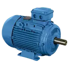 AC & DC Motors