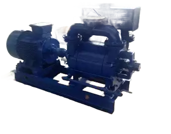Vacuum Pumps